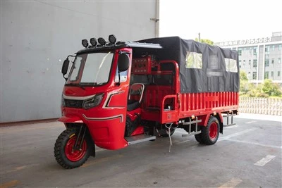Kargo Motorlu Üç Tekerlekli Bisiklet